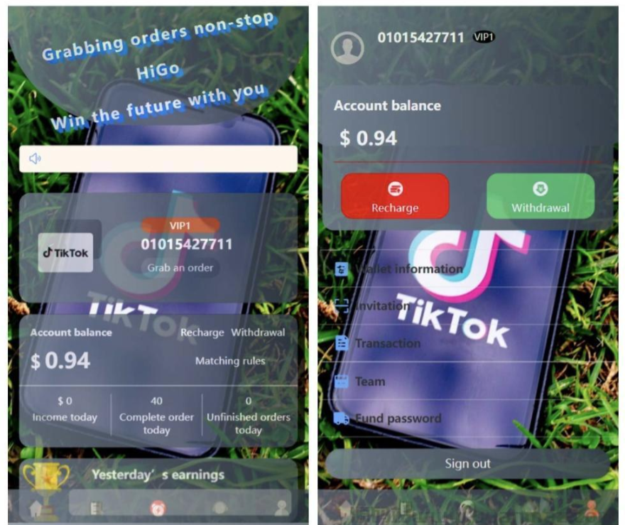 图片[2]-新版本海外tiktok多语言抢单系统源码/带文本搭建教程-逍遥资源网