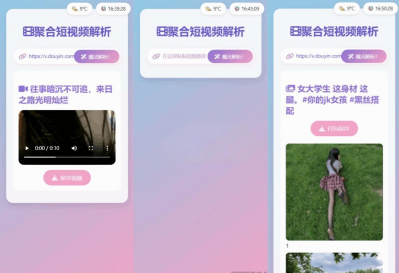 全新二次元聚合短视频解析去水印系统源码 自适应双端-逍遥资源网