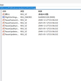 电脑如何永久关闭自动更新，保姆级教程